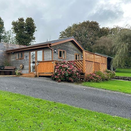 Swansea Log Cabin Villa Pontardawe Exterior photo