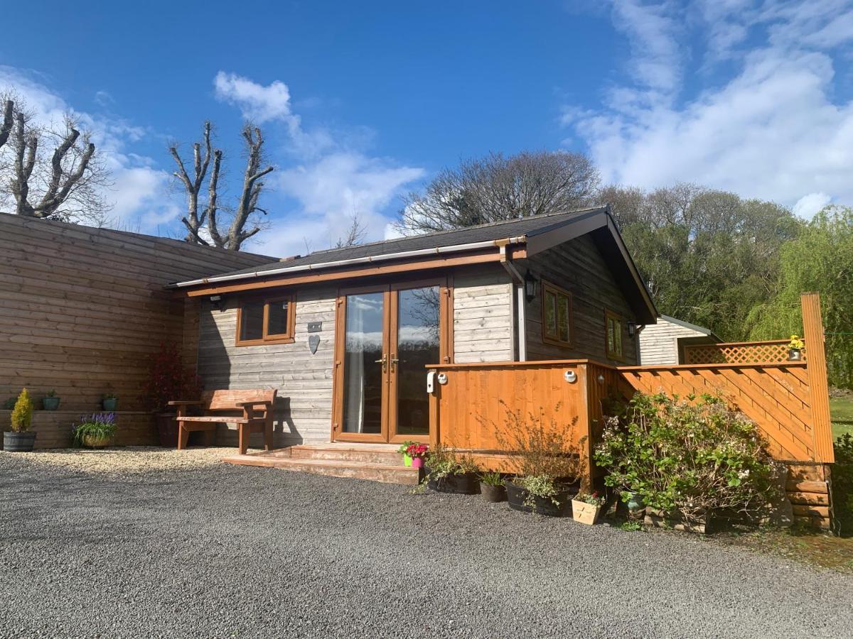 Swansea Log Cabin Villa Pontardawe Exterior photo