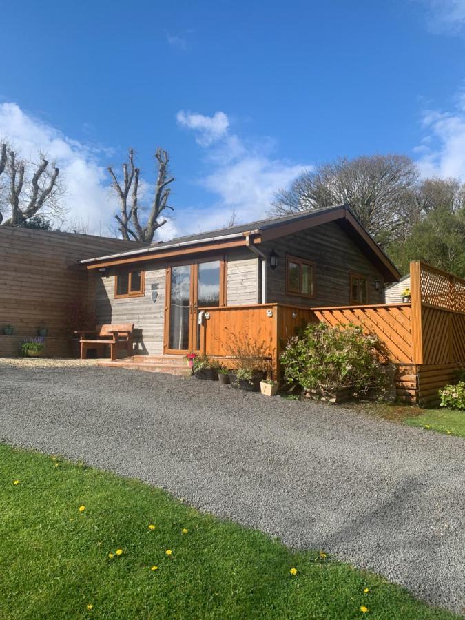 Swansea Log Cabin Villa Pontardawe Exterior photo