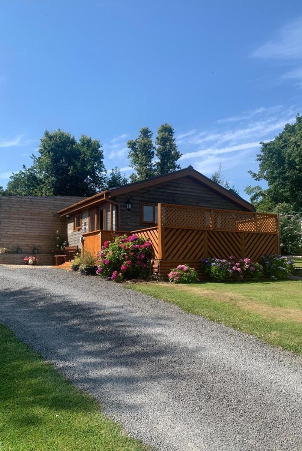 Swansea Log Cabin Villa Pontardawe Exterior photo