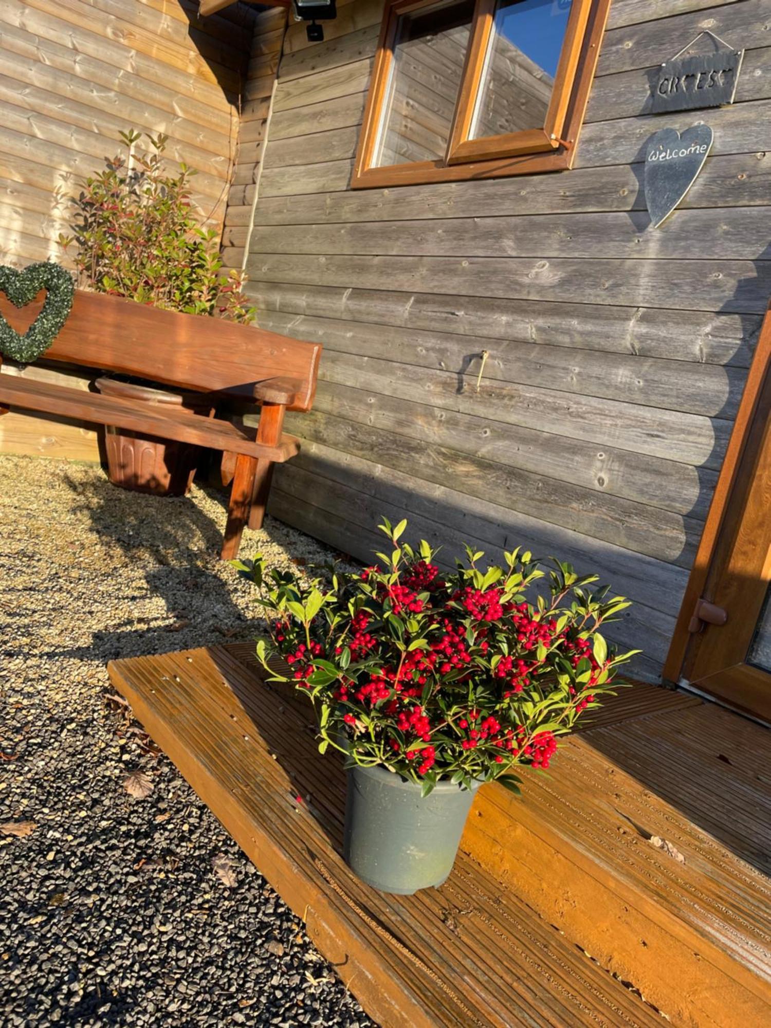 Swansea Log Cabin Villa Pontardawe Exterior photo