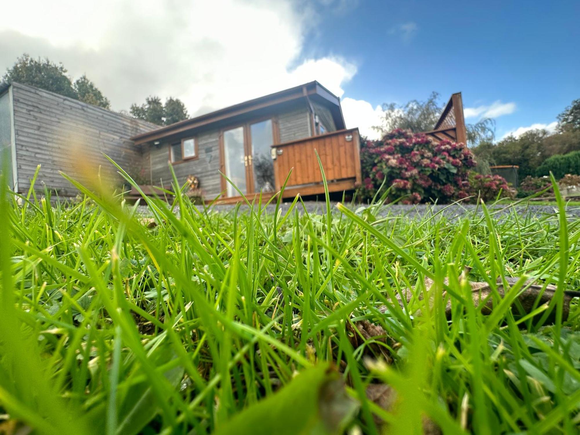 Swansea Log Cabin Villa Pontardawe Exterior photo