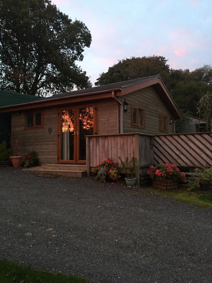 Swansea Log Cabin Villa Pontardawe Exterior photo