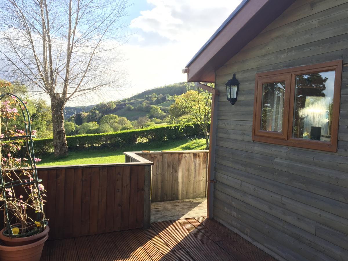 Swansea Log Cabin Villa Pontardawe Exterior photo