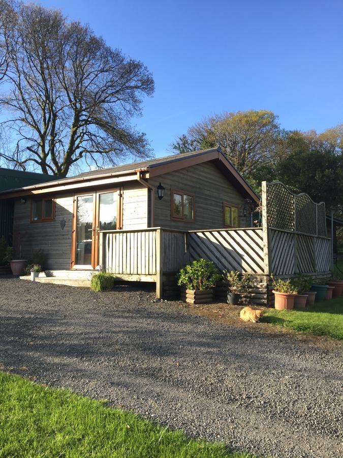 Swansea Log Cabin Villa Pontardawe Exterior photo