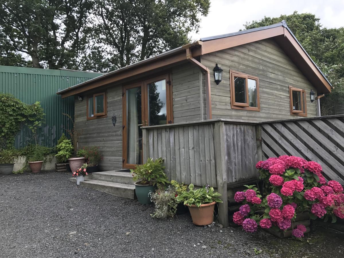 Swansea Log Cabin Villa Pontardawe Exterior photo