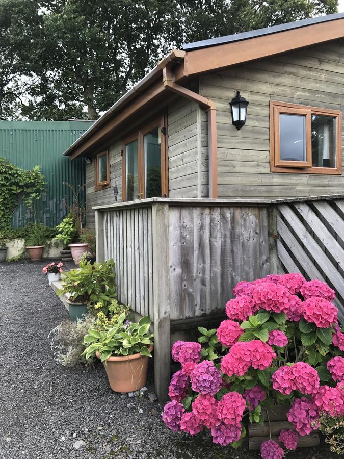 Swansea Log Cabin Villa Pontardawe Exterior photo