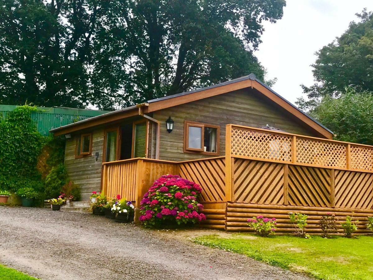 Swansea Log Cabin Villa Pontardawe Exterior photo